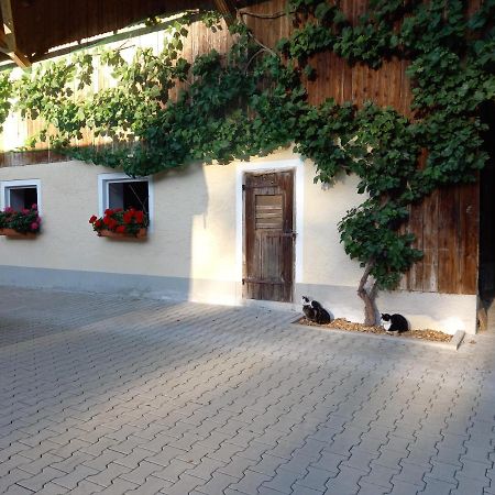 Landhof Ella - Ferienhaus Vor Den Toren Salzburgs Petting Εξωτερικό φωτογραφία