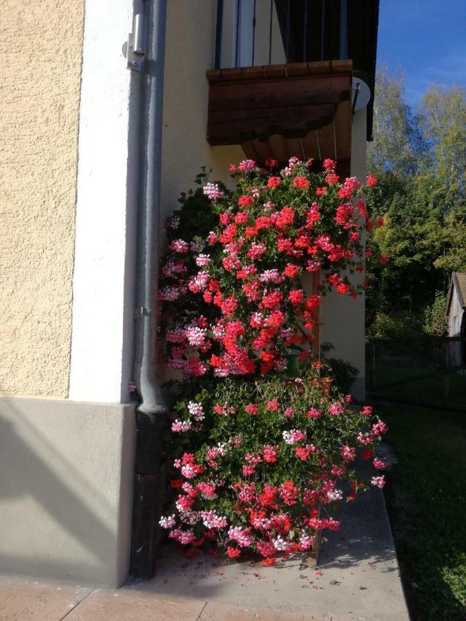 Landhof Ella - Ferienhaus Vor Den Toren Salzburgs Petting Εξωτερικό φωτογραφία